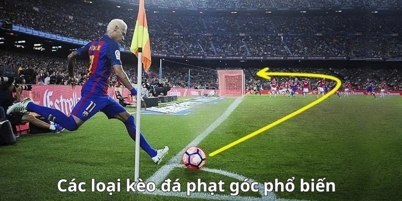 Chấp kèo phạt góc Xin88 chẵn lẻ 